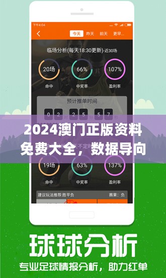 2024澳门精准正版,精选解释解析落实