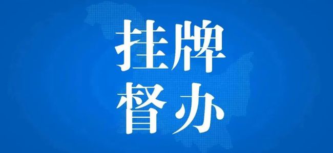 新澳门免费资料挂牌大全,综合研究解释落实