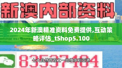 新澳2024正版资料免费公开,精选解释解析落实