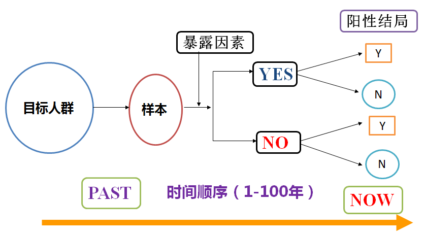 聚焦 第4页