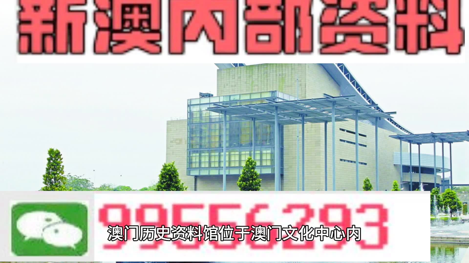 2024新澳门天天彩资料查询,精选解释解析落实