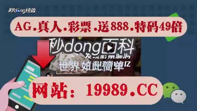 2024澳门天天开彩正版免费资料,联通解释解析落实