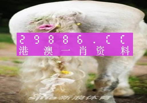 香港管家婆正版四不像图生肖下载|全面释义解释落实