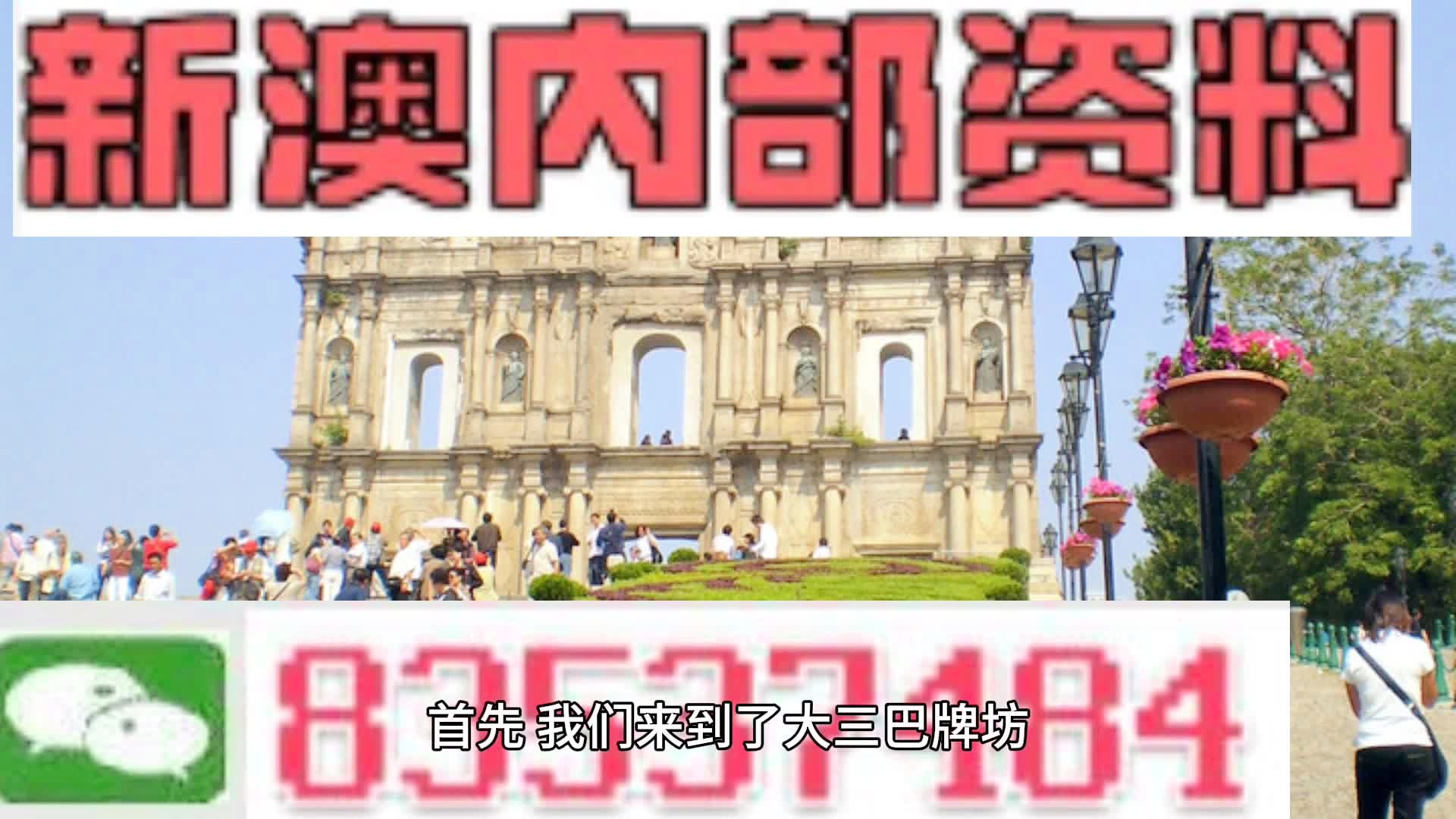 2024新澳今晚资料鸡号几号|词语释义解释落实