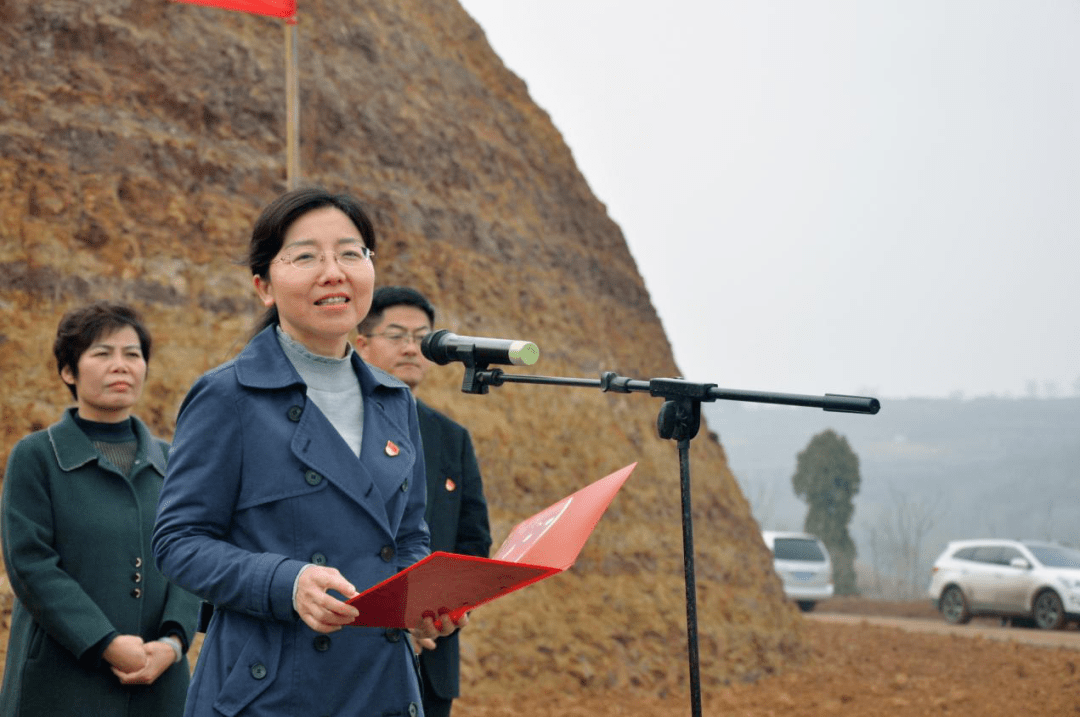 广东省女副省长林，新时代的女性力量与领导风采