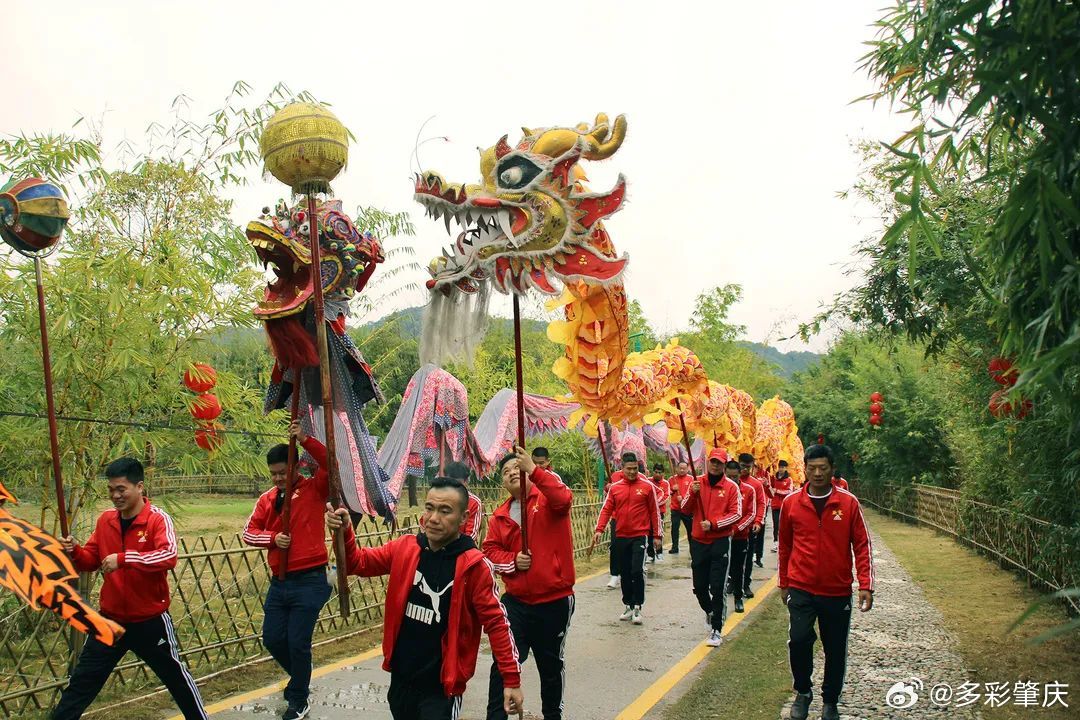 广东省肇庆广宁醒狮，传统与活力的交融