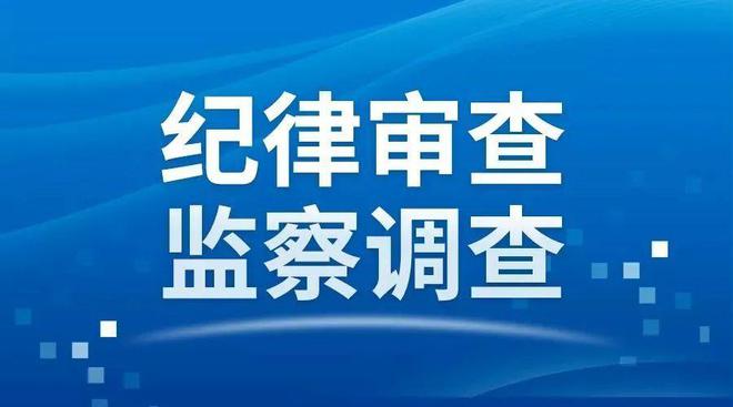 广东省纪检监察专家，守护廉洁广东的重要力量