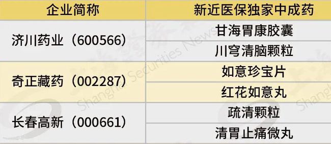 广东省医保目录编码，构建高效、透明的医疗保障体系的关键要素